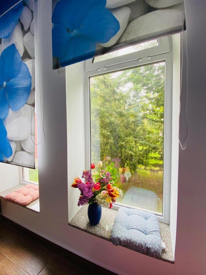 Hotel Marea Neagra Mamaja Zewnętrze zdjęcie
